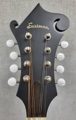 Eastman Guitars - MD315 2